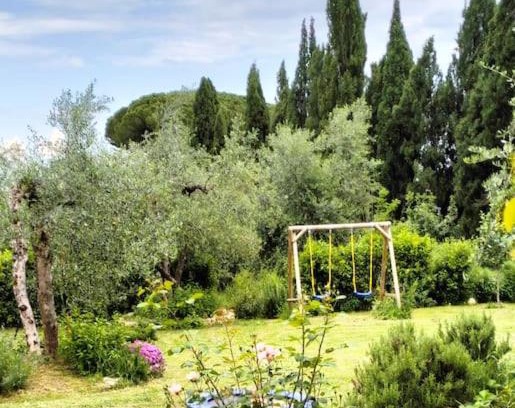 Siena Apartment | Agli Olivi di Marciano