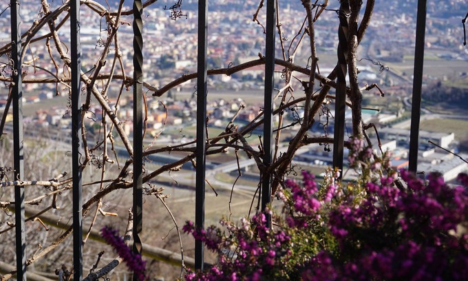 Isera Other | Agritur Maso Carpené