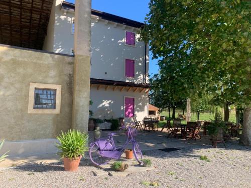 Pescantina Apartment | Agriturismo Corte Bonetti - Appartamento Il Platano