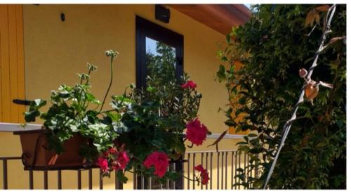 Sommacampagna Apartment | Agriturismo La Fredda