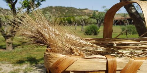 Crotone House | Agriturismo la Mandragola Relais