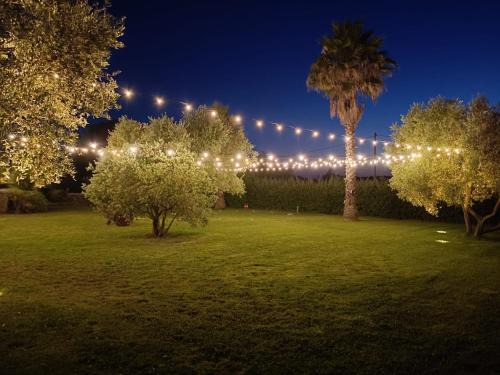 Marta House | Agriturismo La Vita è Bella