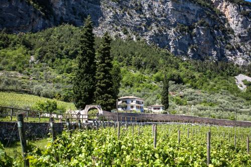 Ceniga Bed & Breakfast | Agriturismo Maso Lizzone