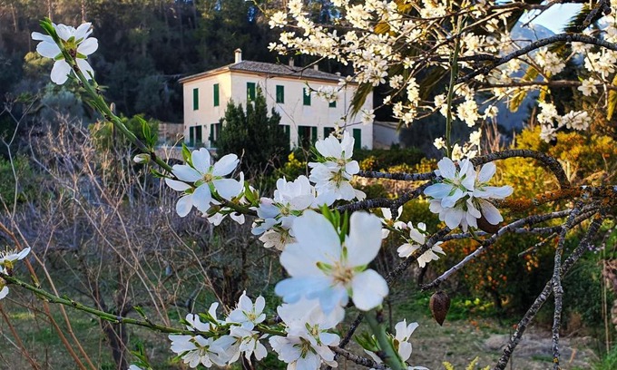 Bunyola House | Agroturisme Finca Sa Maniga