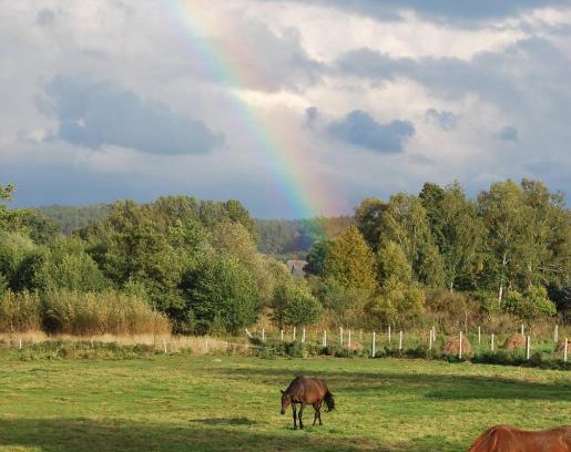 Chojna House | Agroturystyka Mętno 18