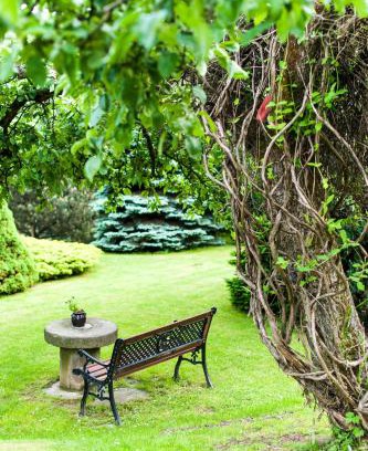 Dlugopole-Zdroj House | Agroturystyka Wzgórze Magnolii