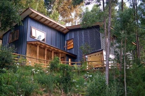 Valdivia Bed & Breakfast | Agua de la piedra