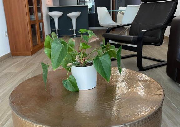 Norte Apartment | Aixa Granada