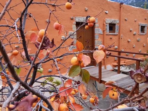 Kato Simi Apartment | Akros Oreon Junior Suite Amori