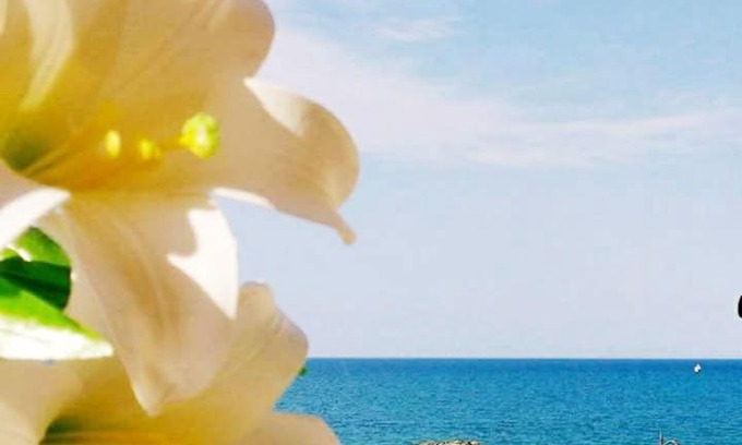 Cariati House | Al Giglio - Affittacamere