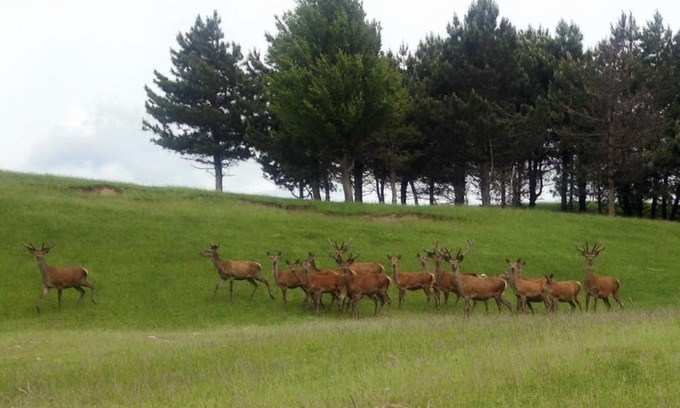 Madonna Dei Fornelli Hotel | Albergo Ristorante Poli