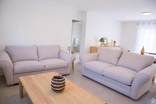 Albi House | Albipavillon