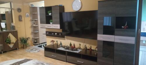 Satu Mare Apartment | Alex12