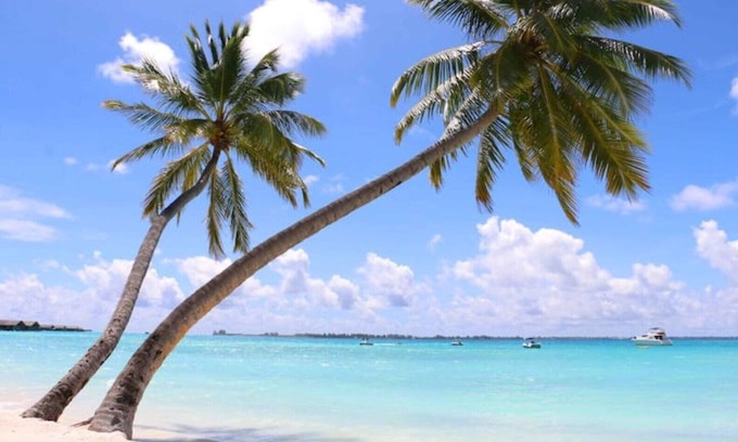 Candolim Hotel | Alexmarie Holiday Home (3) nr Candolim Beach