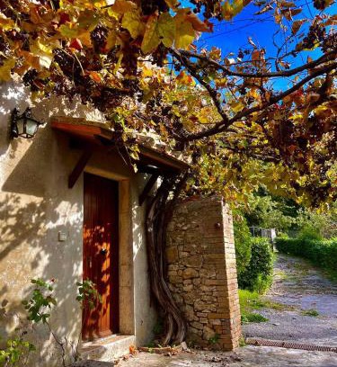 Semproniano House | All'Acqua Santa, immersi nella natura