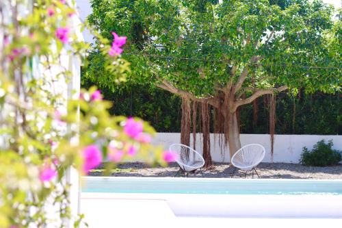 Fasano House | AllaTorretta23