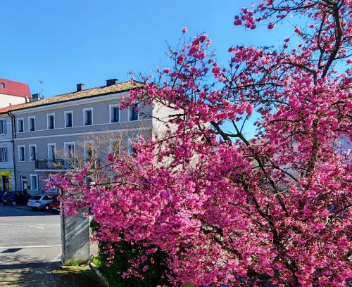 Ronchi dei Legionari House | Alloggi Tosca Airport Lodges