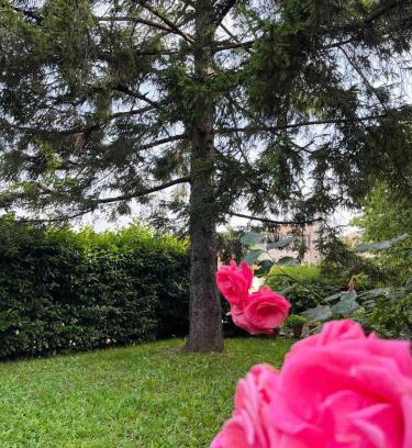 Casaleggio Boiro House | Alloggio il pino