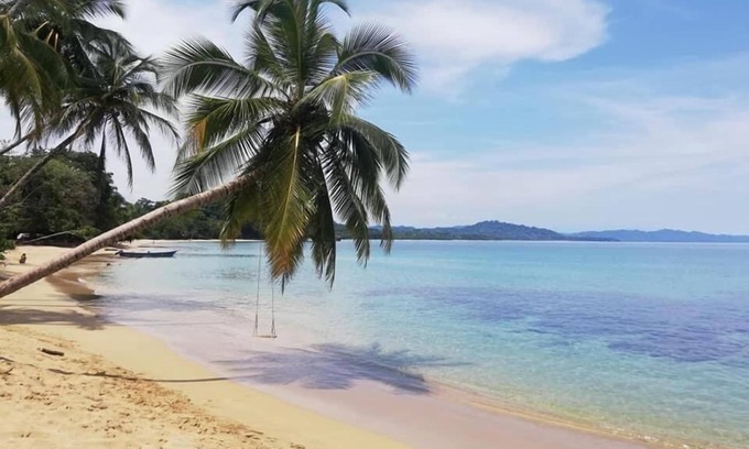 Cocles Apartment | Alloro Jungle Villas