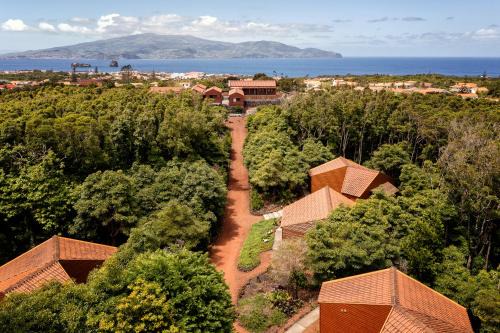 Madalena Apartment | Alma do Pico - Nature Residence