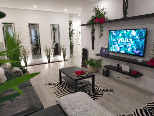 El Guincho Apartment | Alojamiento PLAZA CASCO HISTORICO