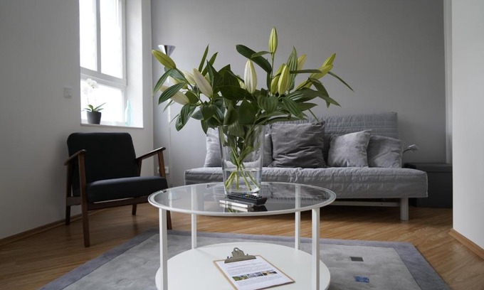 Altstadt I Apartment | Altstadtwohnung mit eigenem Hauseingang