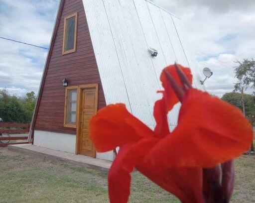 San Agustin de Valle Fertil House | Amancay Cabaña alpina en Valle Fértil