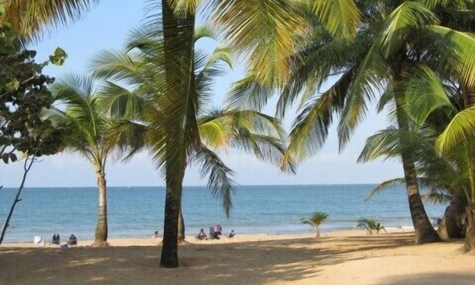 Zarzal Condo | Amazing Beachfront/Garden Condo with Ocean View/Beach Access