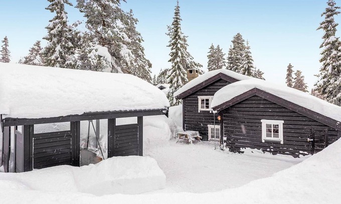 Mælem House | Amazing home in Trysil with house a mountain view