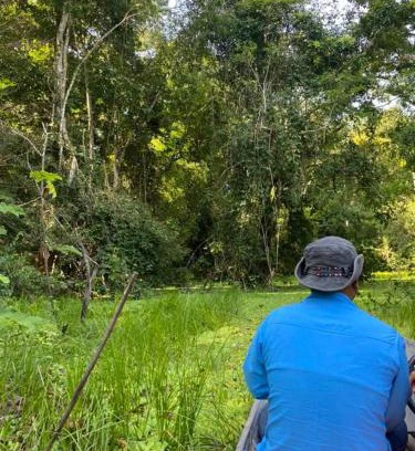 Saquena Hotel | Amazon eagle Explore