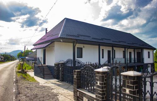 Sapinta House | Ami's Home