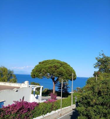 Zona LIII Tomba di Nerone Villa | Amici di Villa Point Intera Villa
