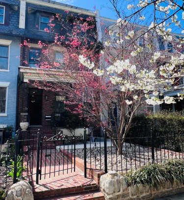 Bloomingdale Apartment | Amma's Place