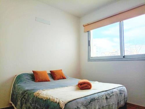 La Plata Apartment | Amplio y cómodo Loft Excente ubicación