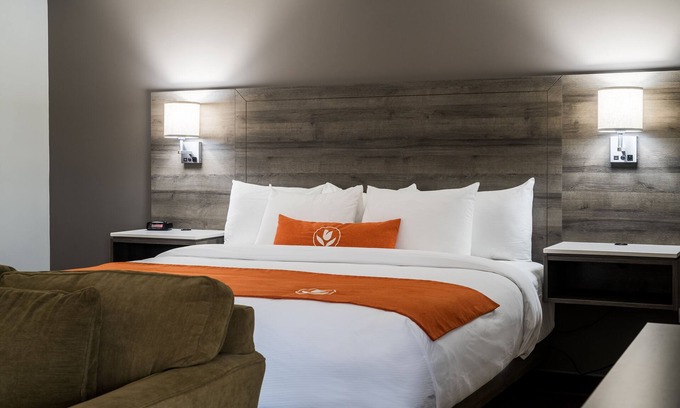 Moncton Hotel | Amsterdam Inn & Suites Moncton