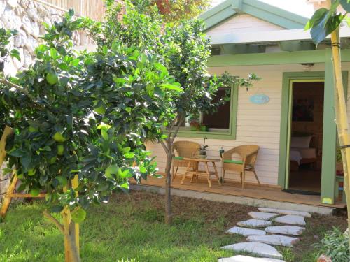 Kefar Hananya Cabin | Anat's Cabin הצימר של ענת