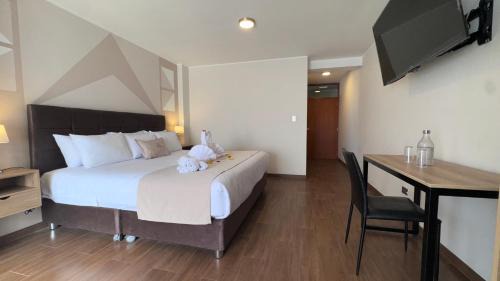 Historical Center Hotel | Andari Hoteles San Lázaro