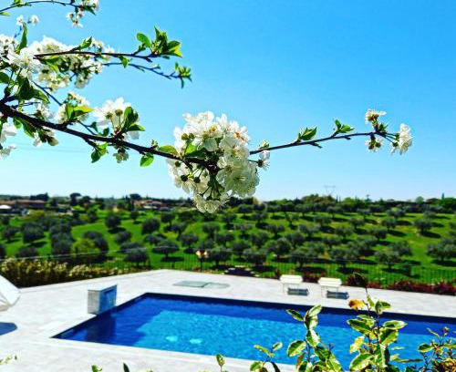 Formello House | angolo di paradiso