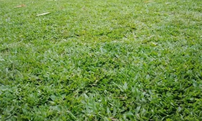Nyeri House | Annabelle Guest House