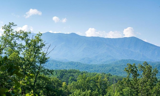Black Bear Falls House | Another Day in Bearadise home