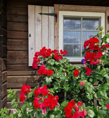 Anyksciai Cabin | Anykščiai MĖNULIO AKMUO