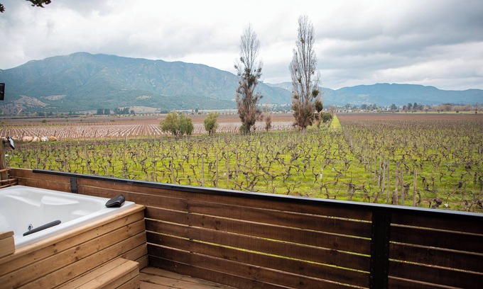 Santa Cruz Cabin | Apalta Lofts, enjoy the vineyards in front of the vineyards