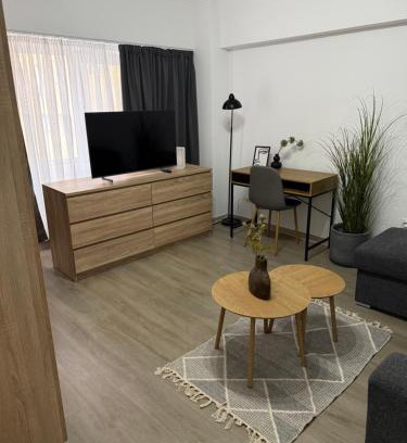 Roman Apartment | Apartament cu o cameră