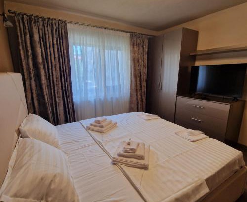 Curtea De Arges Apartment | Apartament Iulius 4