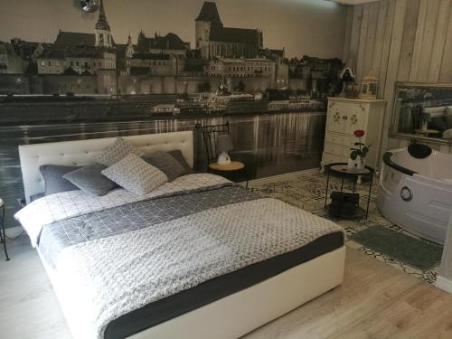 Stare Miasto Apartment | Apartament jacuzzi na toruńskiej starówce