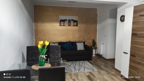 Chiajna Apartment | Apartament Lenus'k