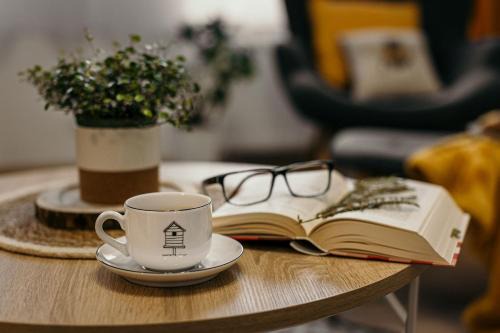 Miedzylesie Apartment | Apartament Miodownik