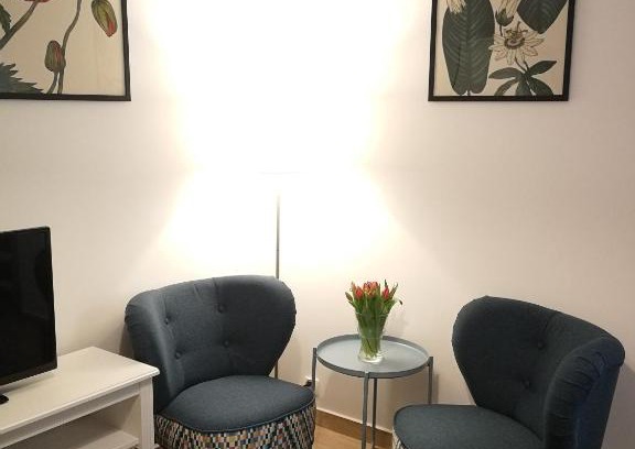 Duszniki Zdroj Apartment | Apartament Parkowy