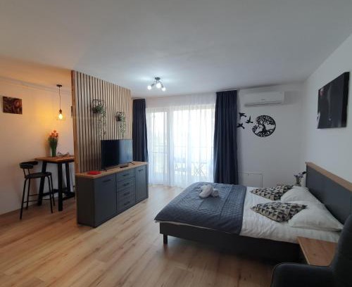Tirgu Mures Apartment | Apartament Relaxa Green 2 Studio AC Parking