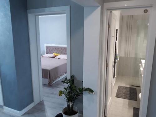 Segarcea Apartment | Apartament